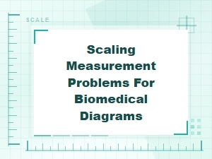 Scaling Biomedical Diagrams for Real-World Measurement